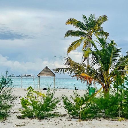La Isla Tropica Guraidhoo (Kaafu Atoll) Exterior foto