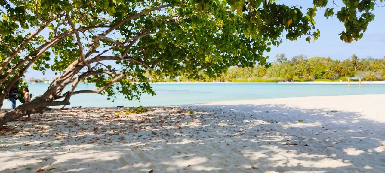 La Isla Tropica Guraidhoo (Kaafu Atoll) Exterior foto