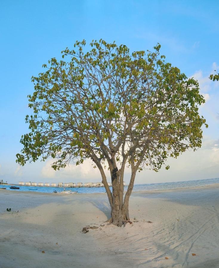 La Isla Tropica Guraidhoo (Kaafu Atoll) Exterior foto