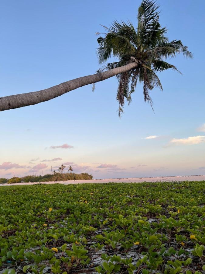 La Isla Tropica Guraidhoo (Kaafu Atoll) Exterior foto