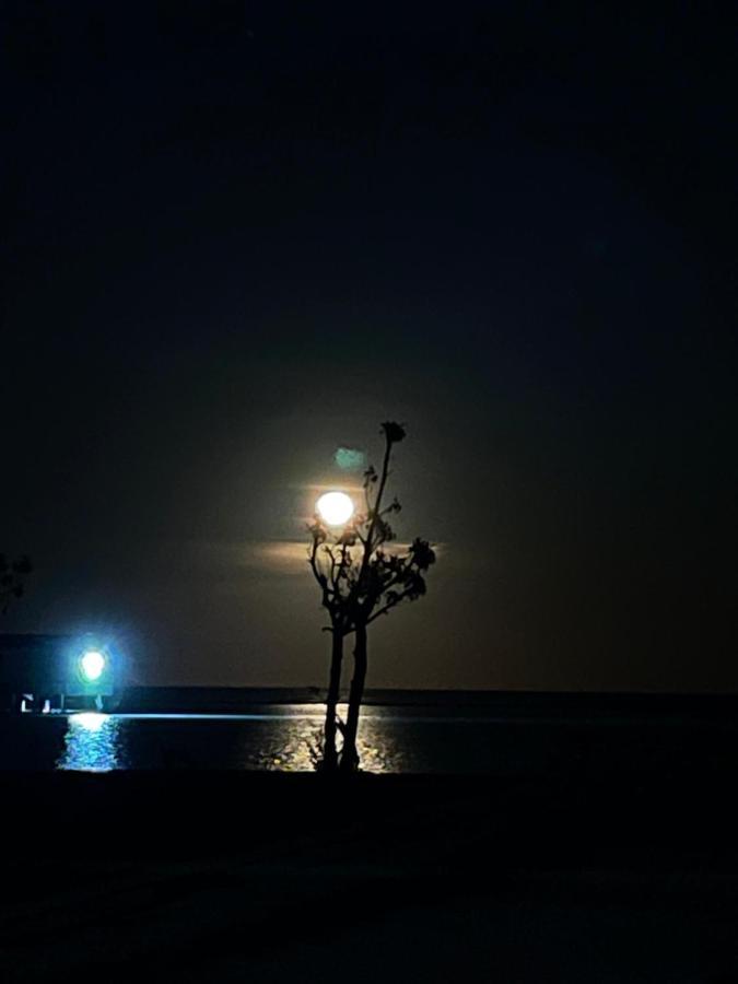 La Isla Tropica Guraidhoo (Kaafu Atoll) Exterior foto