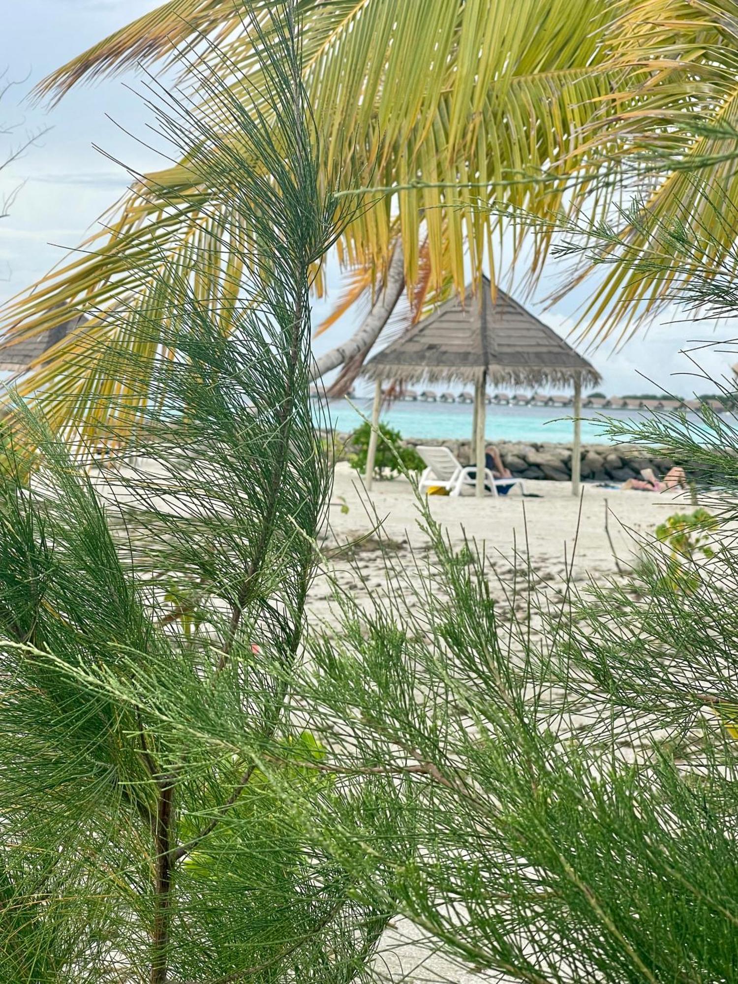 La Isla Tropica Guraidhoo (Kaafu Atoll) Exterior foto