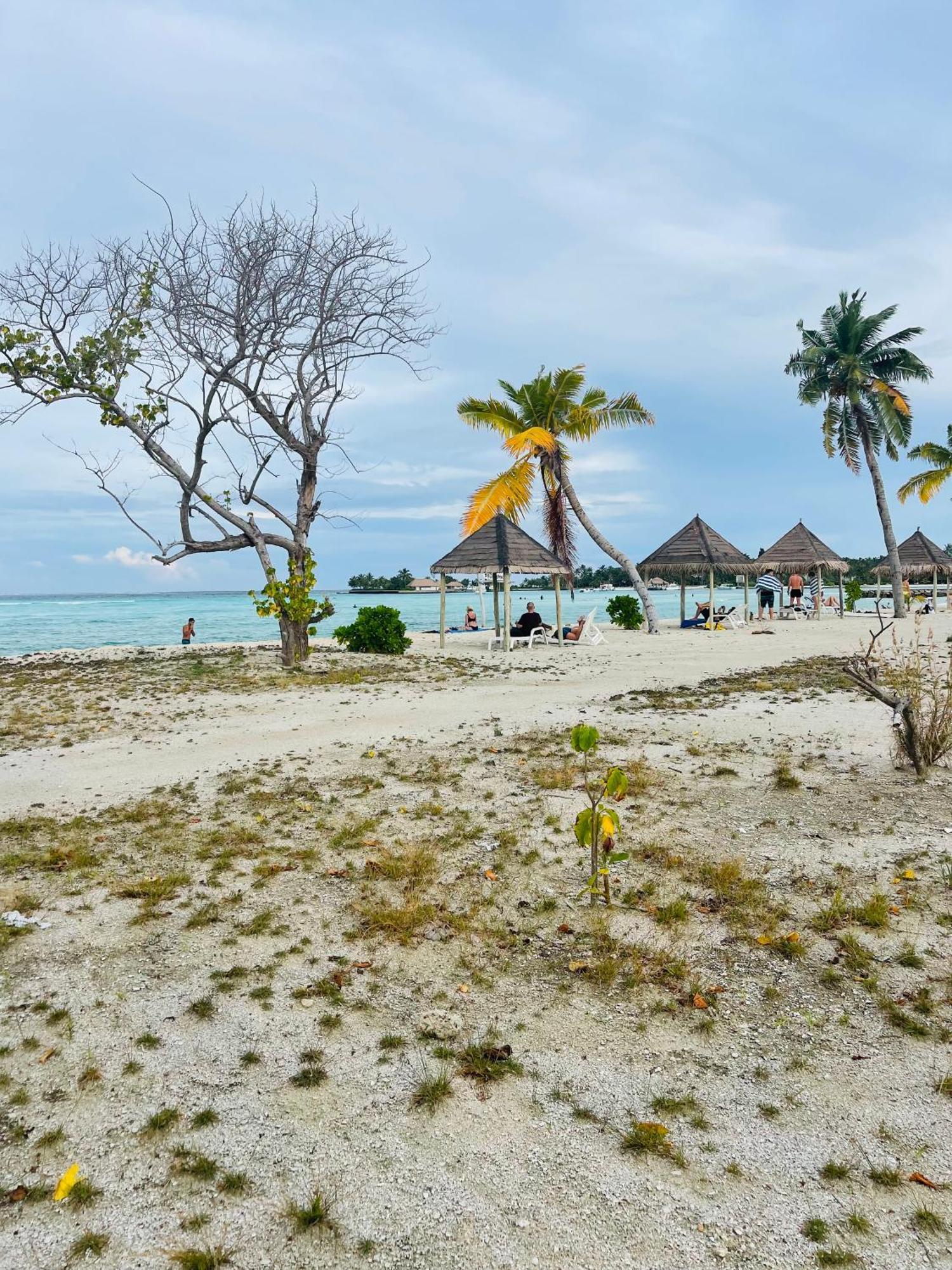 La Isla Tropica Guraidhoo (Kaafu Atoll) Exterior foto